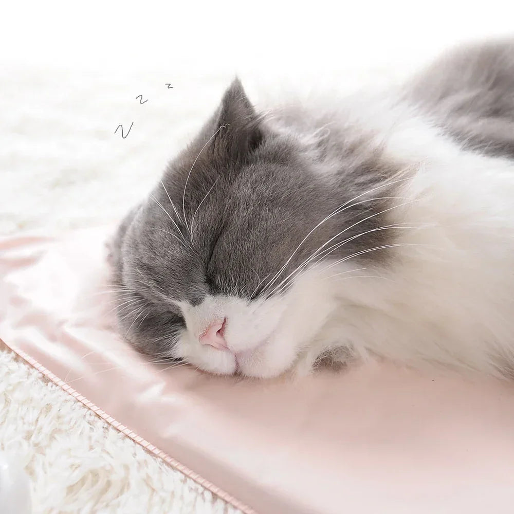 Winter Pet Heating Blanket